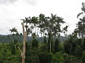 IMG_0049