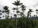 IMG_0050