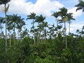 IMG_0051