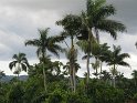 IMG_0052