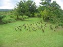 IMG_0057