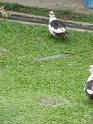 IMG_0058
