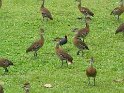 IMG_0059