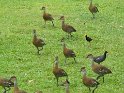 IMG_0060