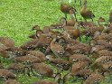 IMG_0061