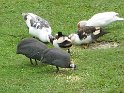 IMG_0063