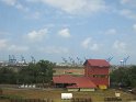 IMG_0081