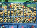 IMG_0161