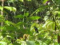 IMG_0163