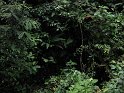 IMG_0169