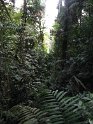 IMG_0170