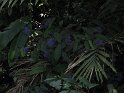 IMG_0171