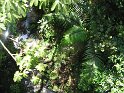 IMG_0172