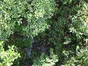IMG_0175