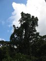 IMG_0178