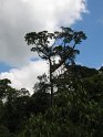 IMG_0179