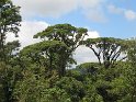 IMG_0180