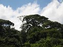 IMG_0181