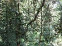 IMG_0183