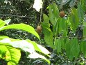 IMG_0184