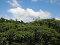 IMG_0186