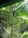IMG_0188