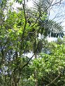 IMG_0189