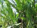 IMG_0194