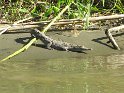 IMG_0197
