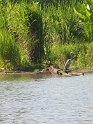 IMG_0200