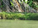 IMG_0201