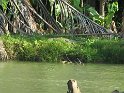 IMG_0202