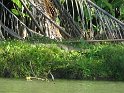 IMG_0203