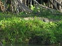 IMG_0204