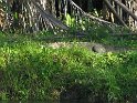 IMG_0205