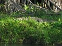 IMG_0206