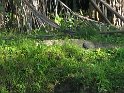 IMG_0207