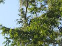 IMG_0215