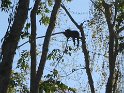 IMG_0216