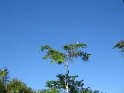 IMG_0217
