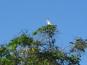 IMG_0218