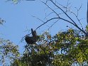 IMG_0220