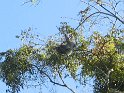 IMG_0221