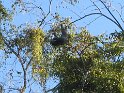 IMG_0222