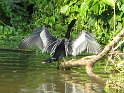 IMG_0224