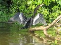 IMG_0225