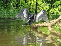 IMG_0226