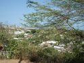 DSC01239