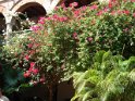 DSC01256