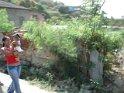 DSC01274